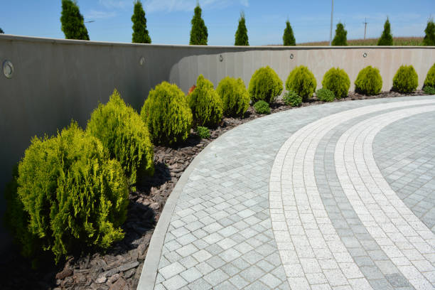 Best Driveway Pavers Contractor  in Valinda, CA